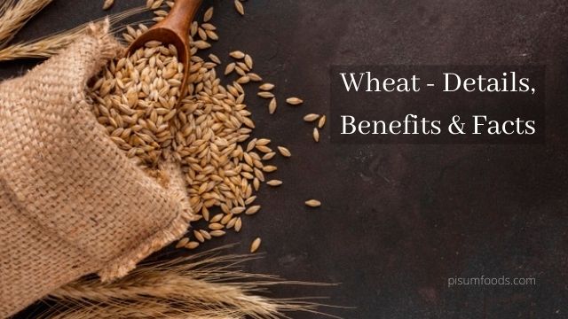 Wheat - Details, Benefits & Facts